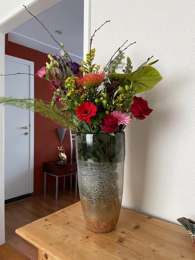 Appartement De Gouw Noordgouwe Экстерьер фото